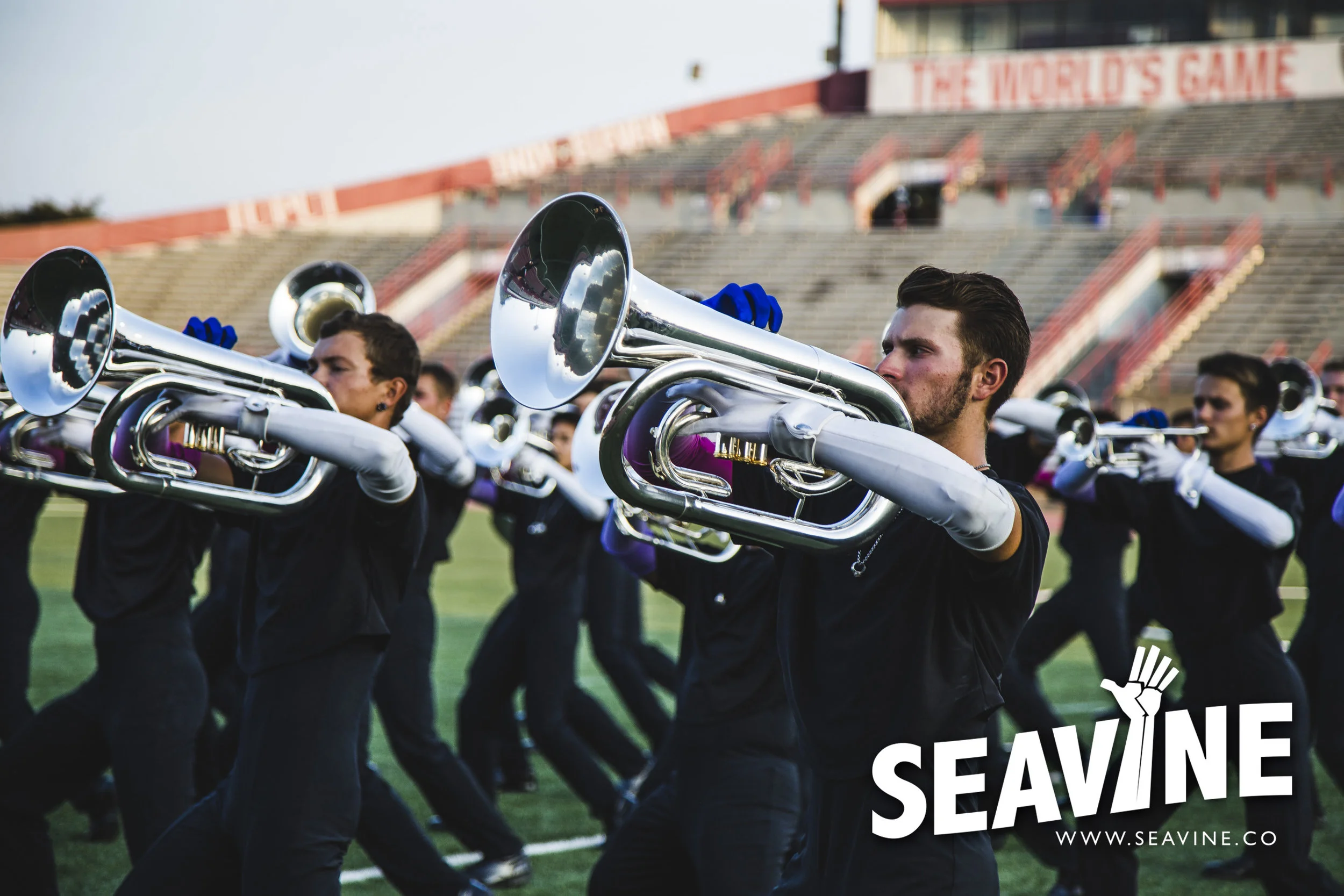 SEAVINE_8_11_IMG_0534_WATERMARK.jpg