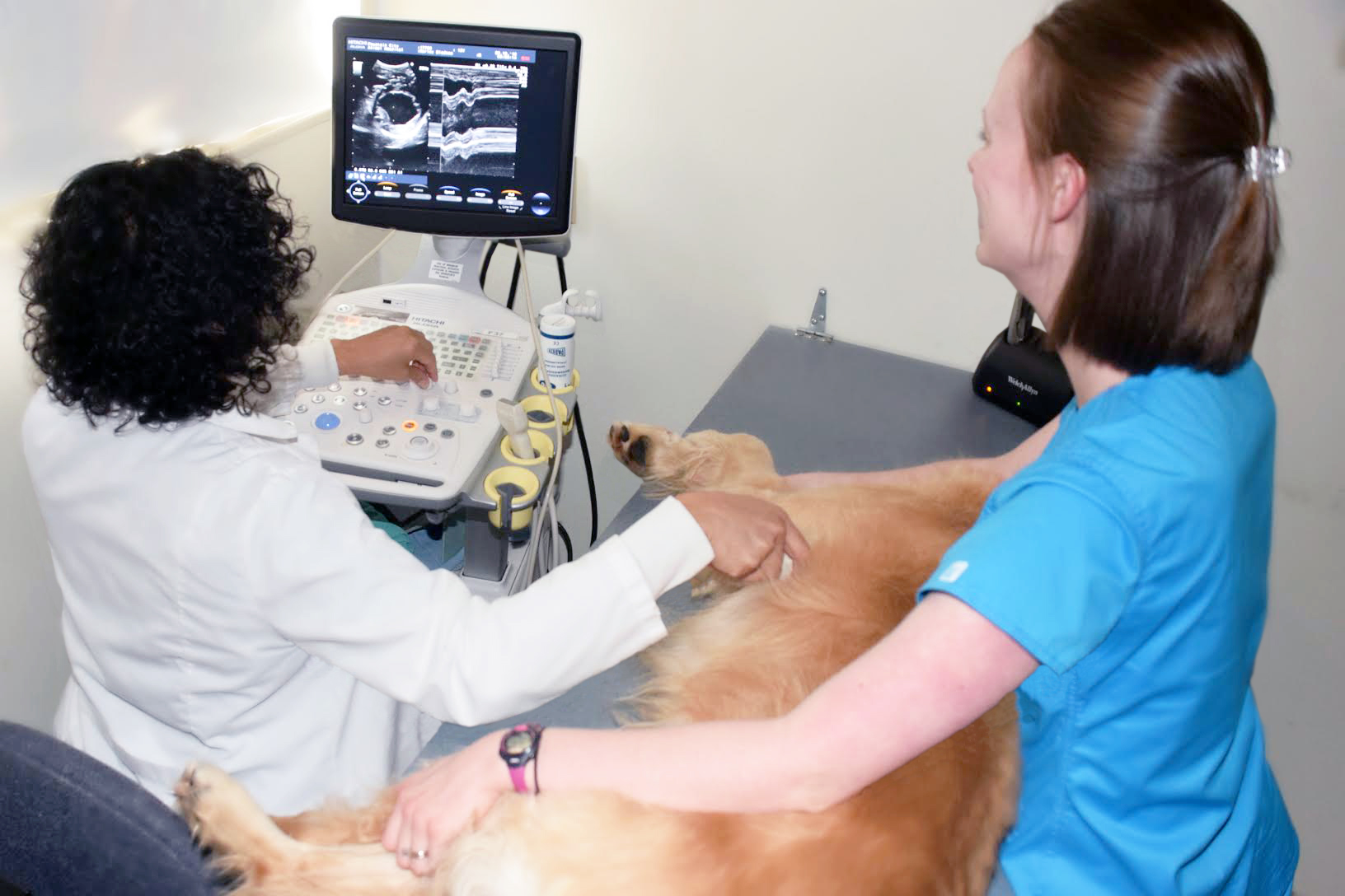 Dr. Cooper Ultrasound.jpg