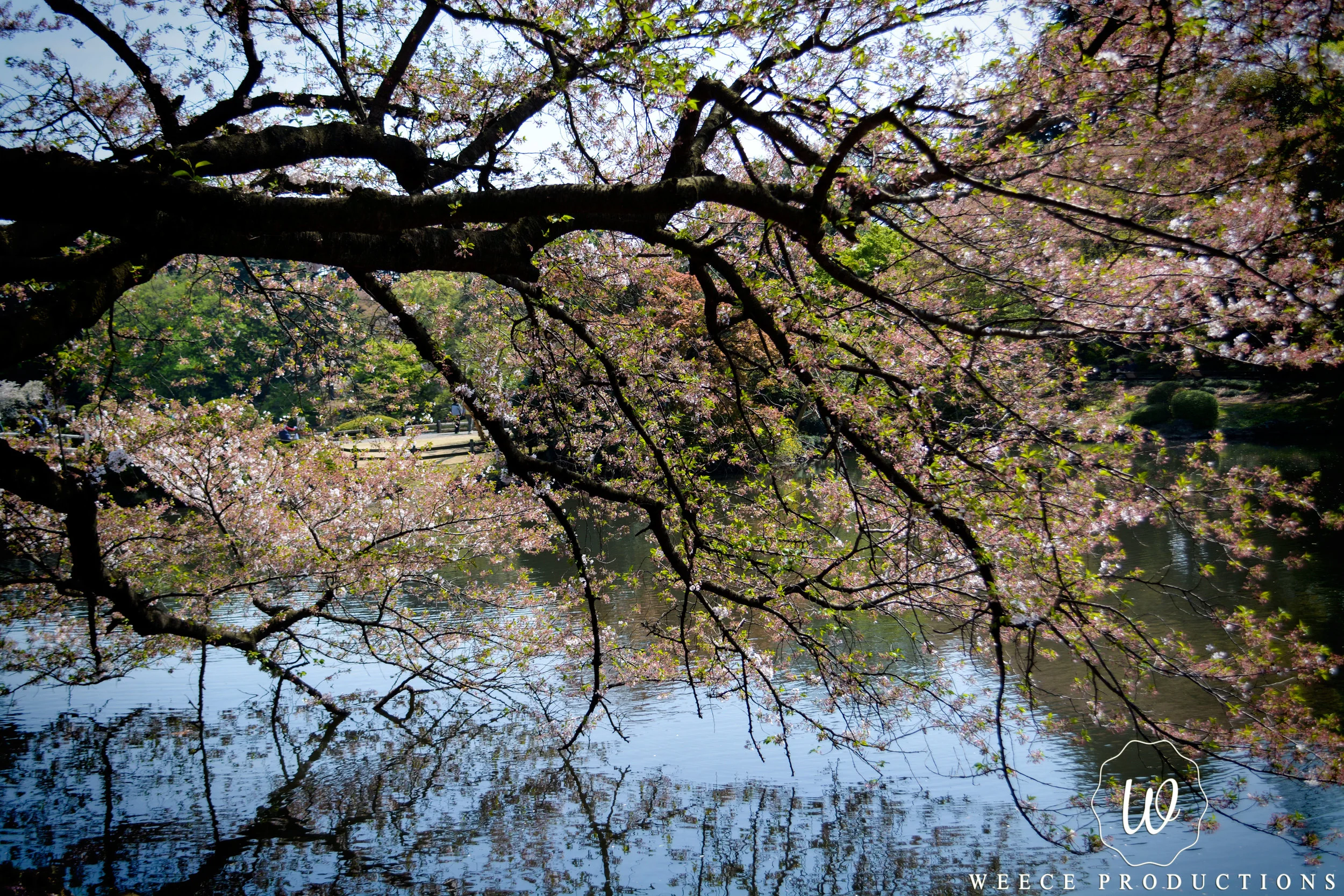 DSC_1159edit.jpg