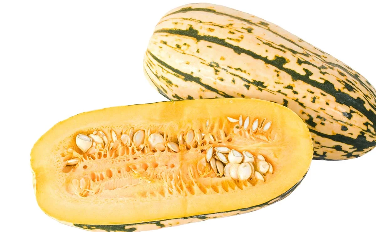 I CAN'T BELIEVE IT'S NOT BUTTERNUT (MODERN FARMER) It's a telltale sign of fall, as reliable as colder temperatures and shorter days: butternut squash. MORE