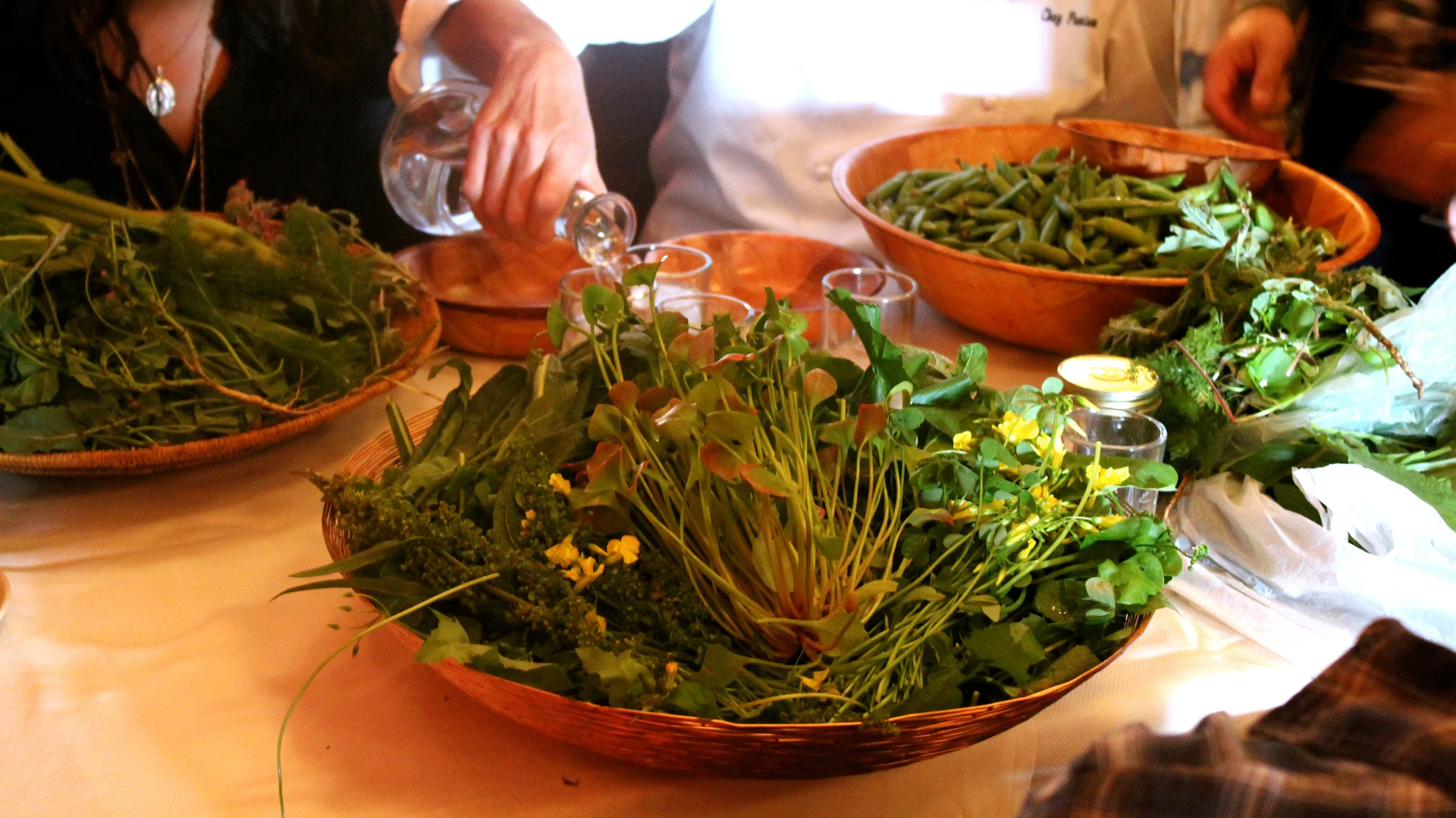Chez Panisse tasting.jpg