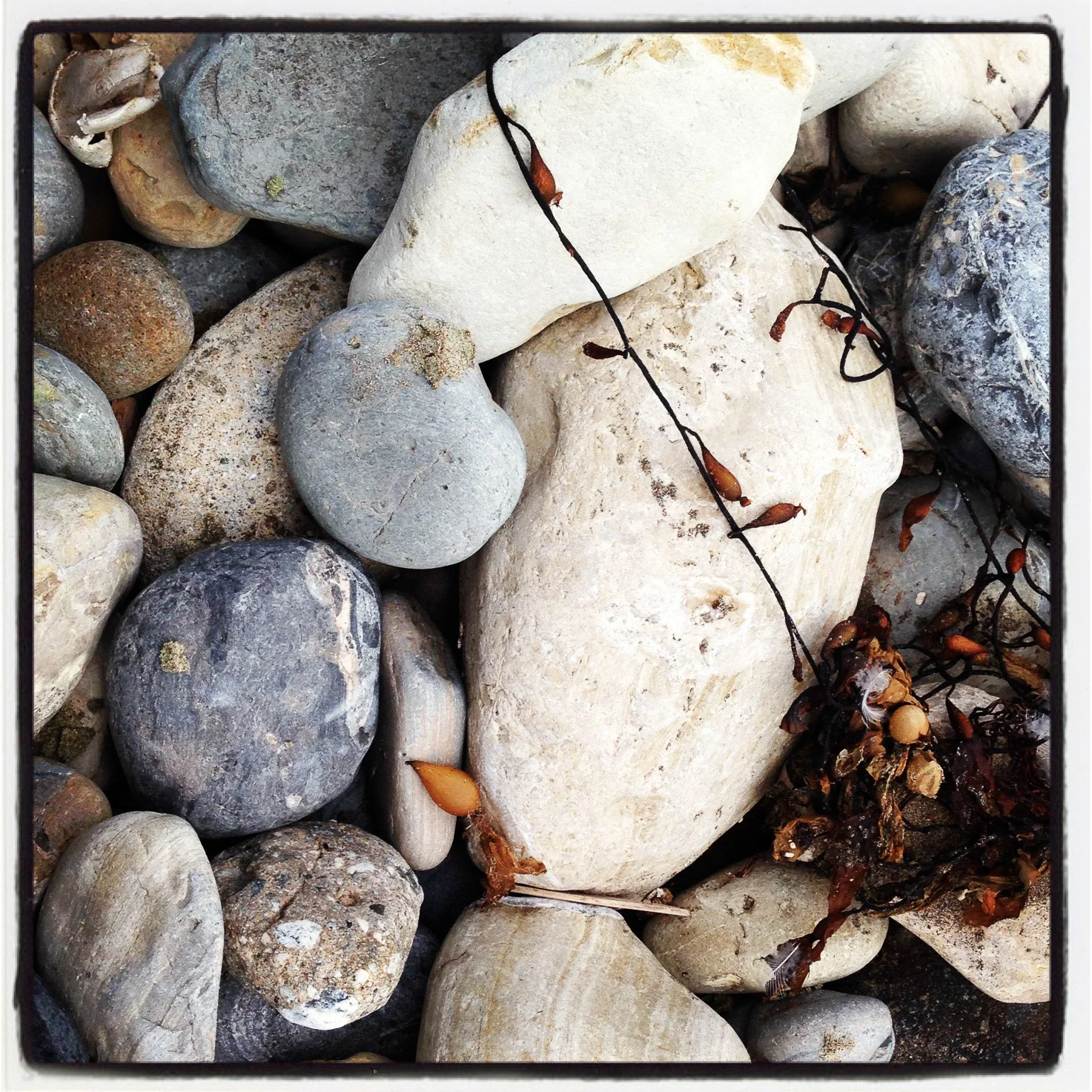 squares-008.jpg