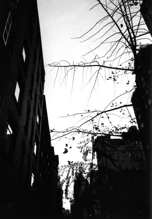 nyc10360.jpg