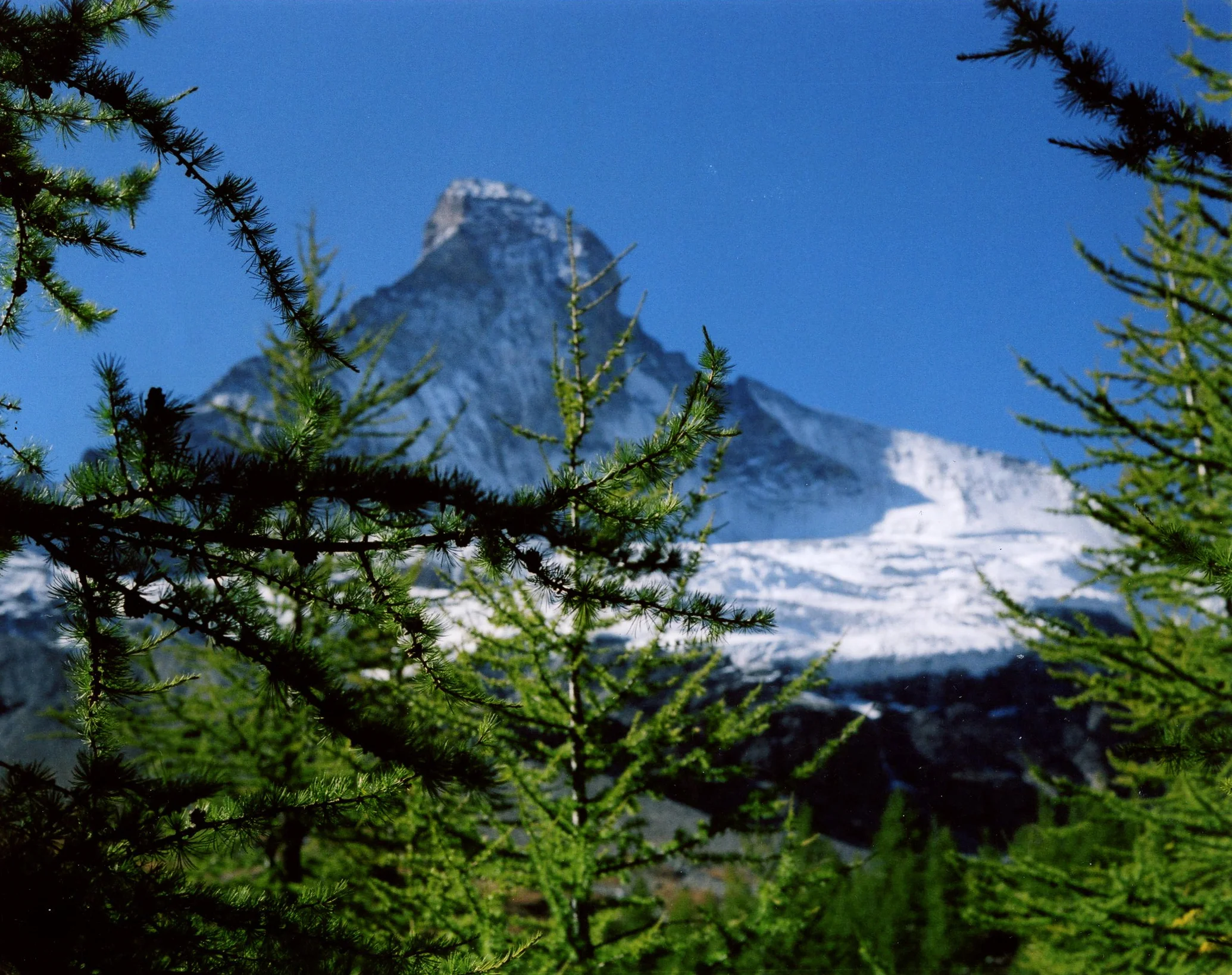 m42330.jpg