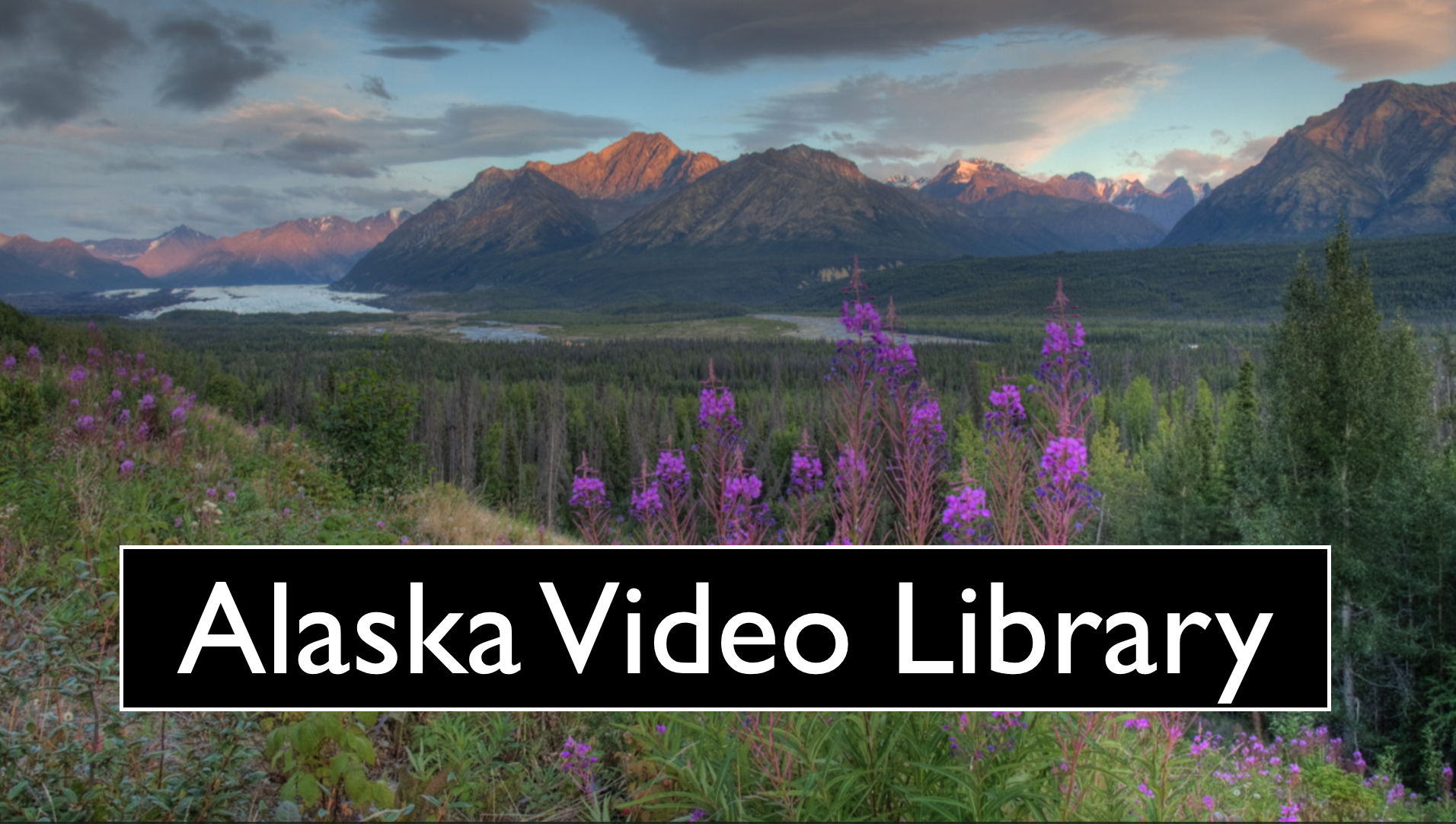 Screenshot 2025-11-09 at 5.21.06 AM.png