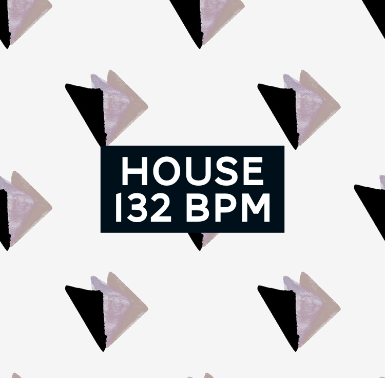 House 132 BPM Music Store.PNG
