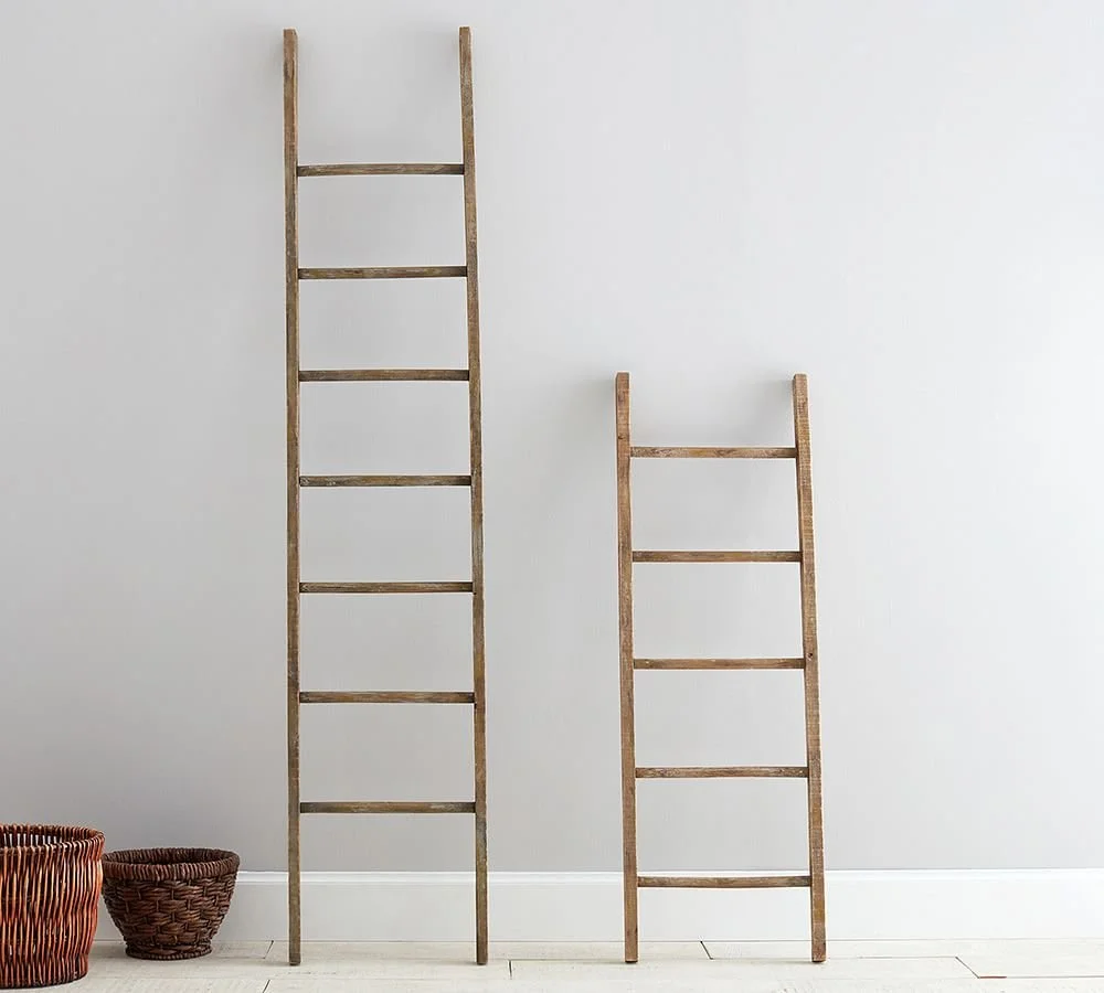 Ladder Barre - Live Online