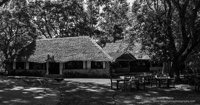 Rivertrees Dining Area
