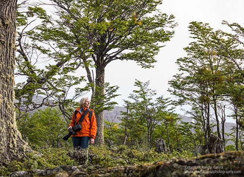 Kathy hiking in Tierra del Fuego National Park. Hasselblad H5D4