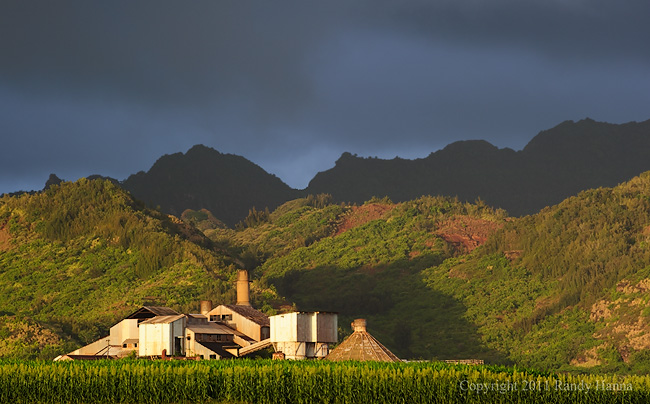 Koloa Sugar Mill Nikon D3s, 70-200 f/2.8 @ 150mm, ISO 400, f/8.0 at 1/250 sec