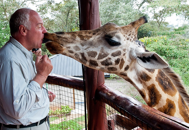 Randy Getting a Special Giraffe Kiss