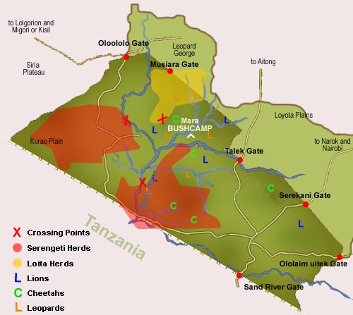 Migration Report, 1 Aug 2010