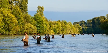 Fishermen as far as one can see