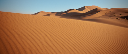 Golden Light on Dunes of Namibia Nikon D300, 17-55mm @ 28mm, ISO 250, f16, 1/125 sec