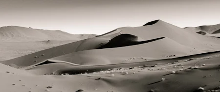 Black & White II Dunes Nikon D300, 17-55mm @ 30mm,ISO 250, f8, 1/320 sec
