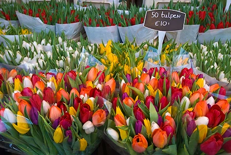 Amsterdam Tulip Market Nikon D300, 17-55mm