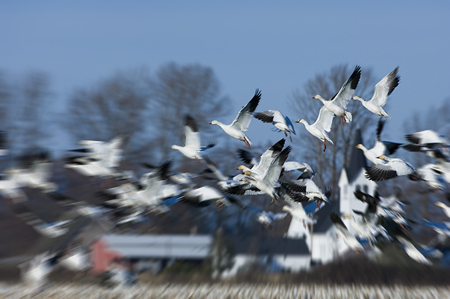 SOFT LANDING
