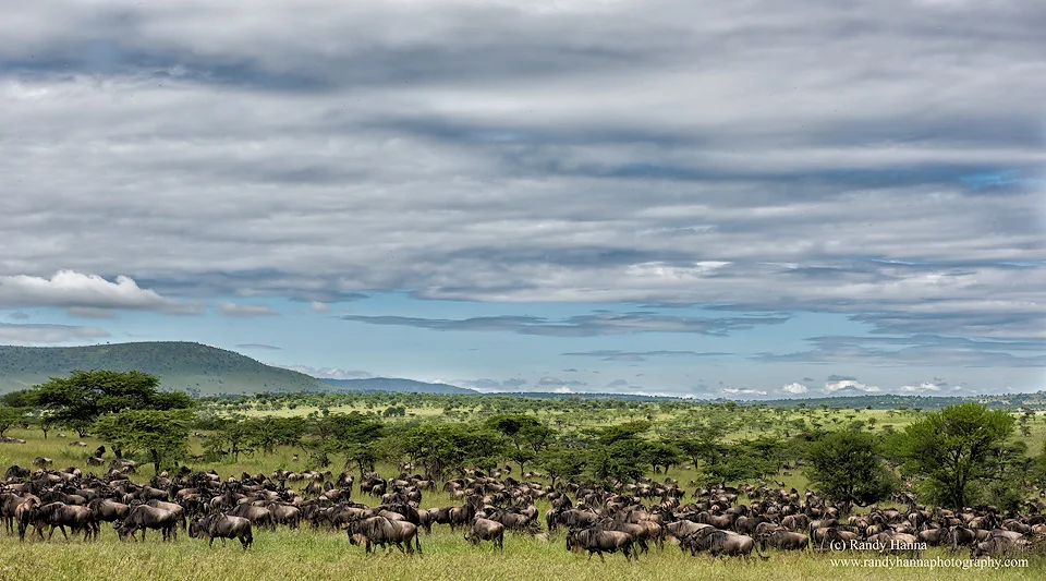 20140530_Tanzania_D810_0404-Edit.jpg