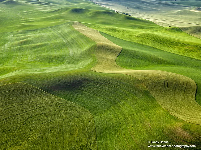 The Wonderful Palouse taken from the air with a Hasselbald H5D40 fitted with a 35-90mm and a 2 axis gyro stabilizer.