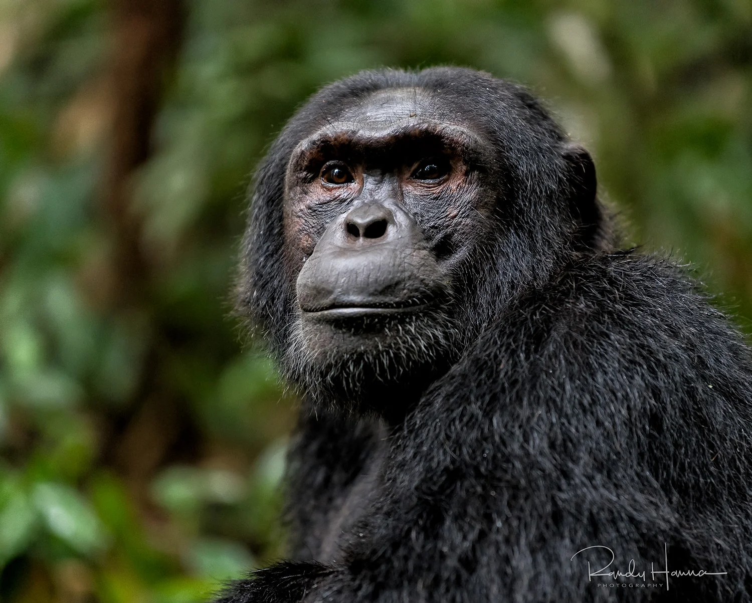 20170218_Uganda_D5_5702-Edit.jpg