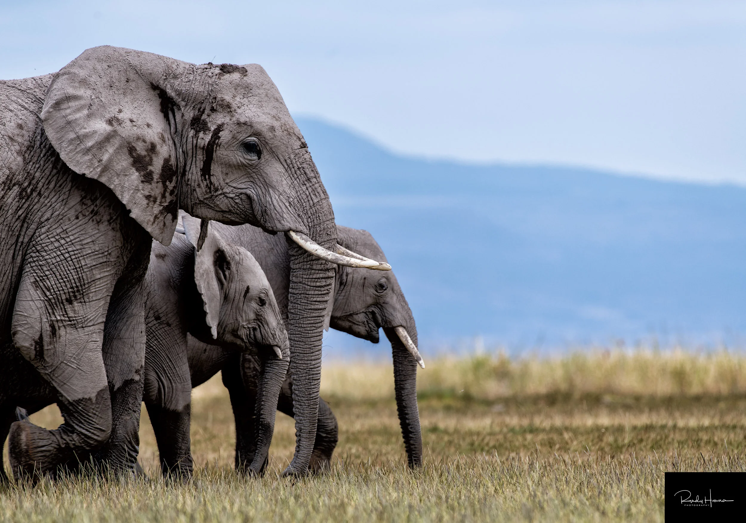 20180903_Kenya_3636-Edit-BLOG.jpg