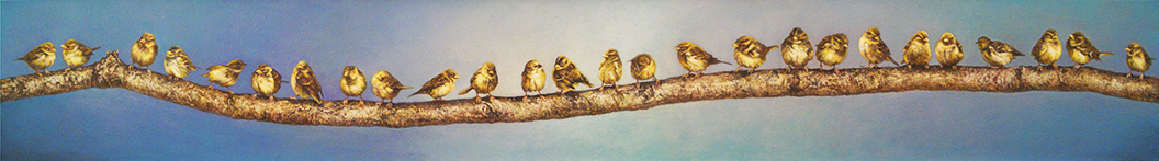 *26 New York Sparrows.jpg
