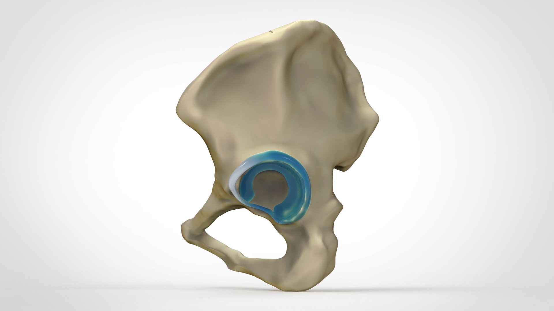 6Bone Scene 3.1 - Alt.jpg