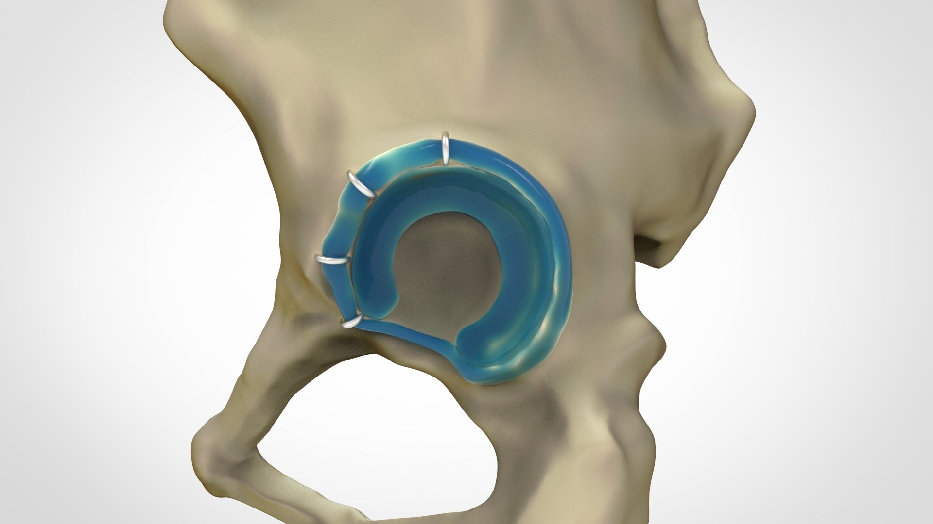 Bone Scene Revision 1.2.jpg