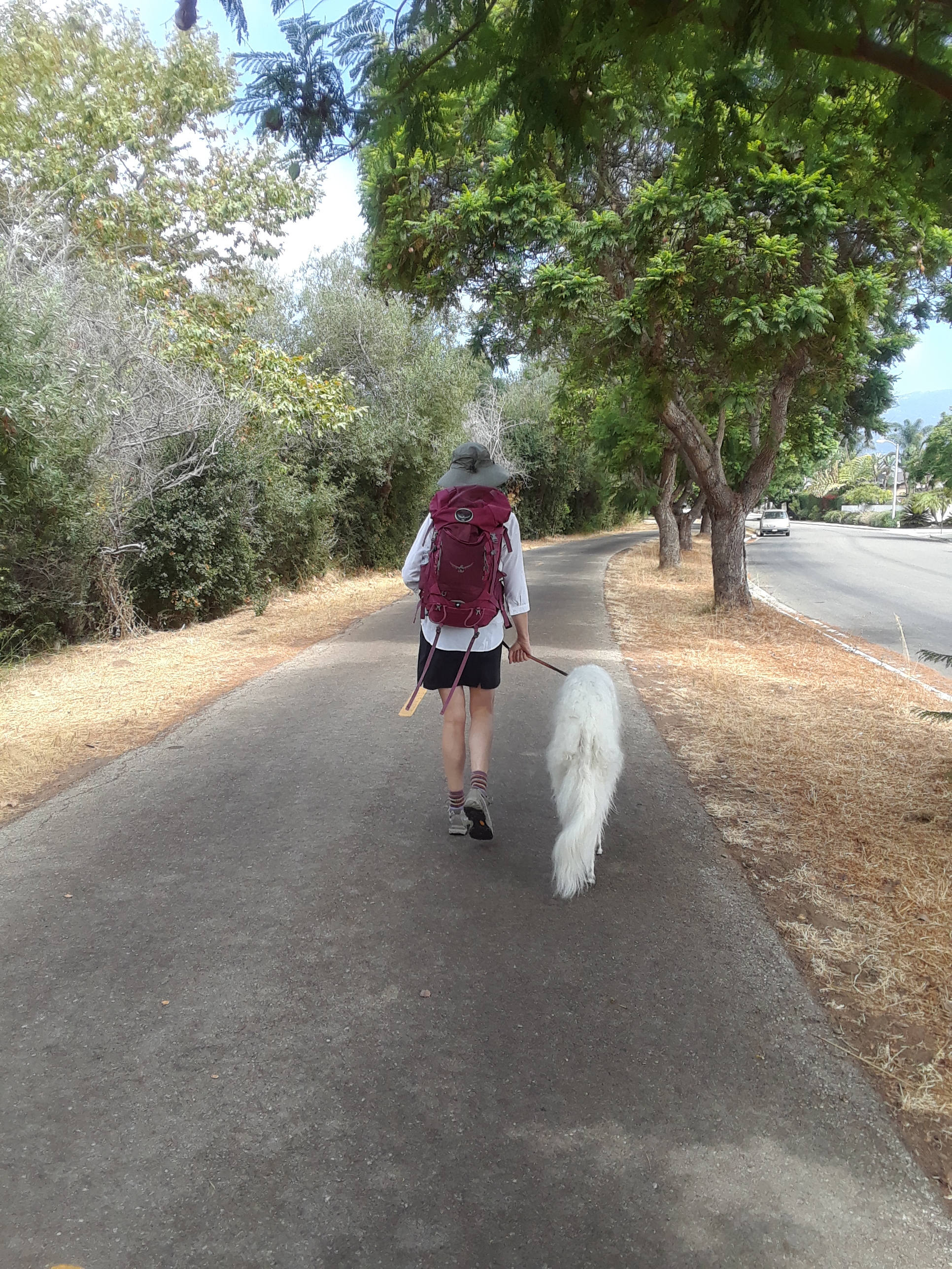  From Santa Barbara to Santiago. Training while on a walk with Keesa.&nbsp; 