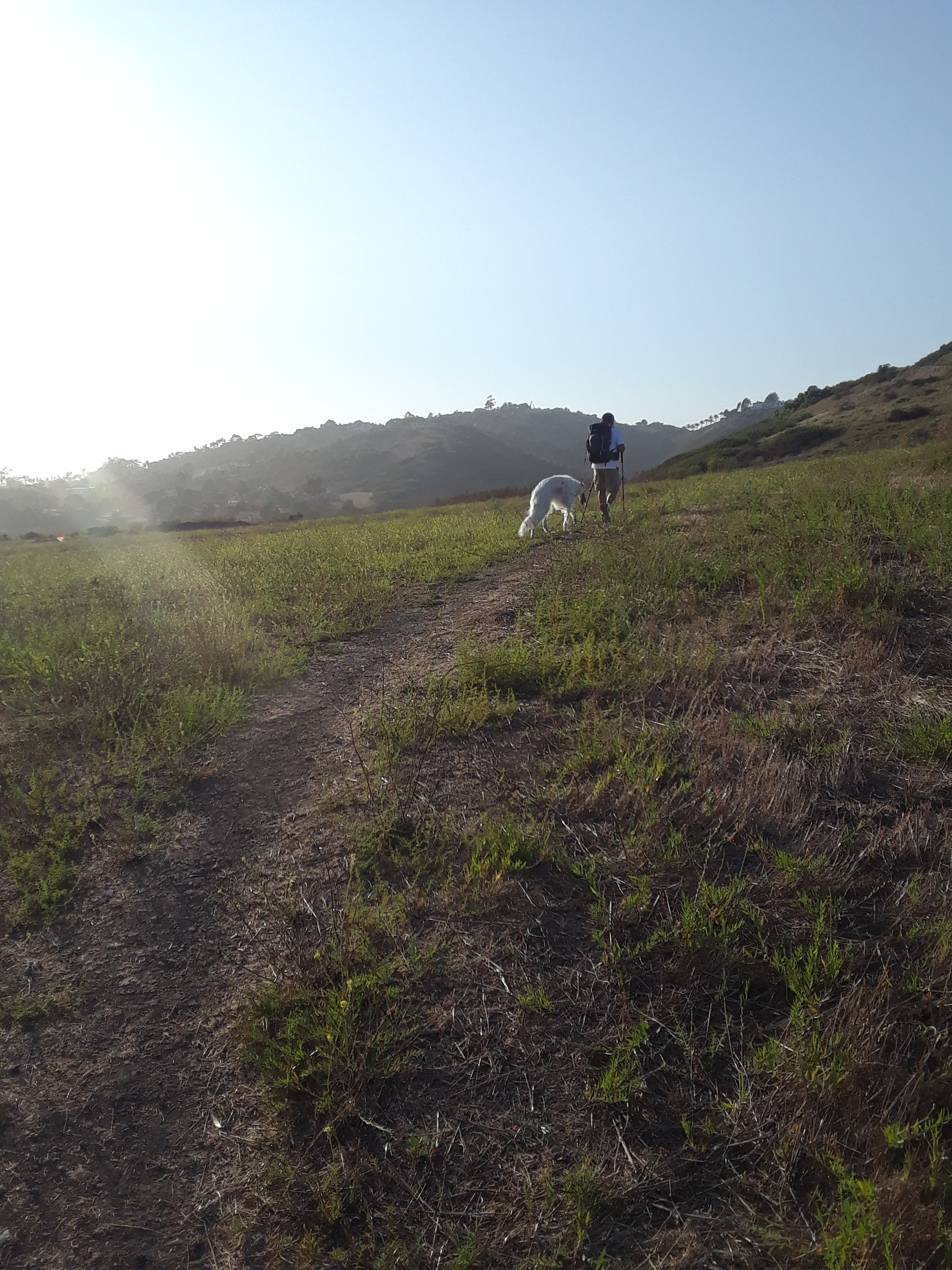  Walking the Santa Barbara hills with trekking poles.&nbsp; 
