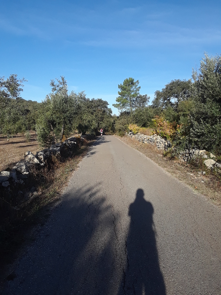 Resized_20171001_085628.jpeg