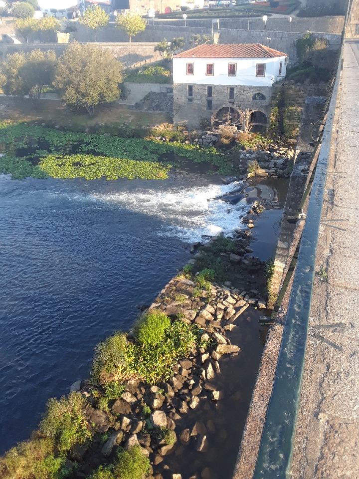 Resized_20171010_085603.jpeg