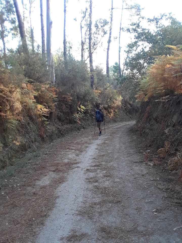 Resized_20171014_101854.jpeg