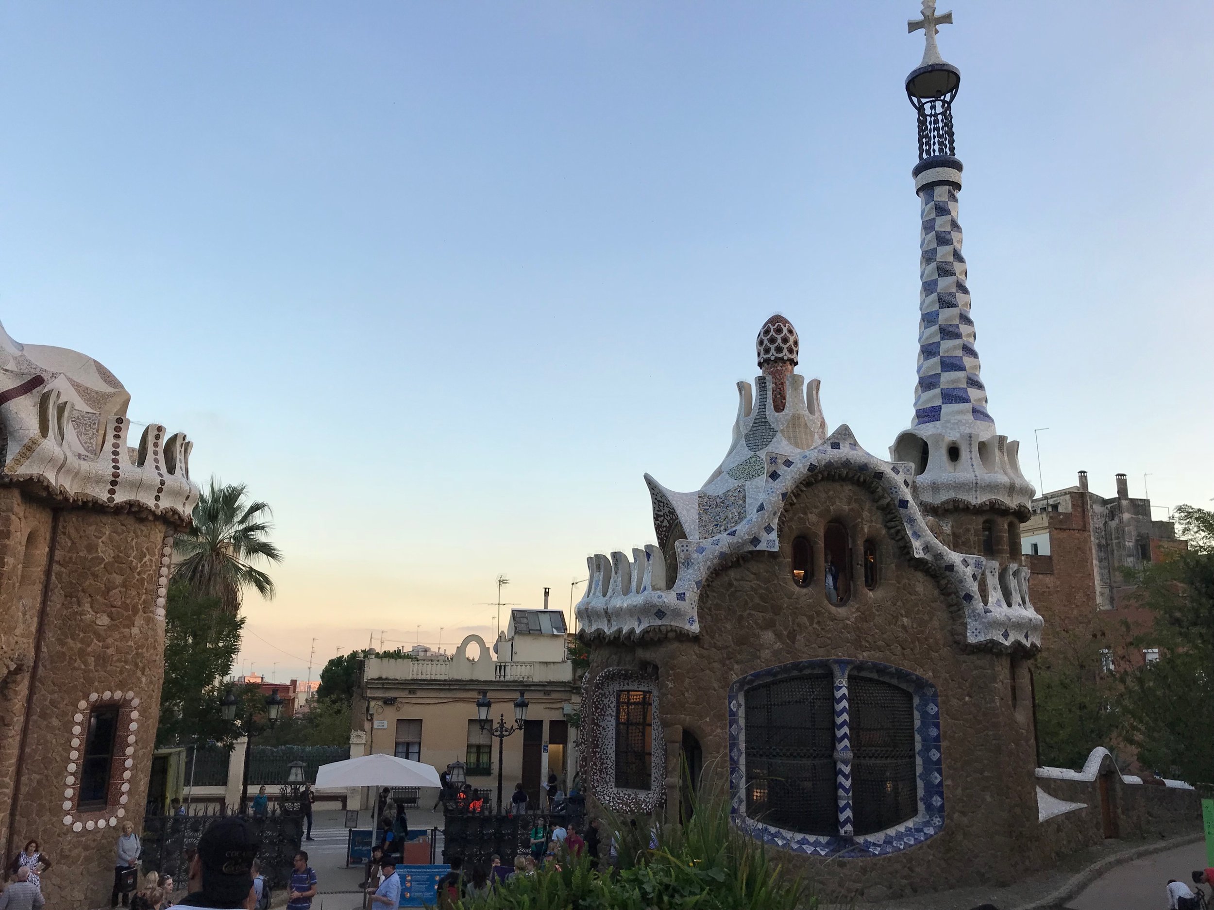 IMG_2019.jpeg