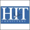 Healthcare IT Consultant