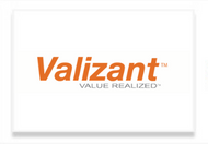 Valizant Logo