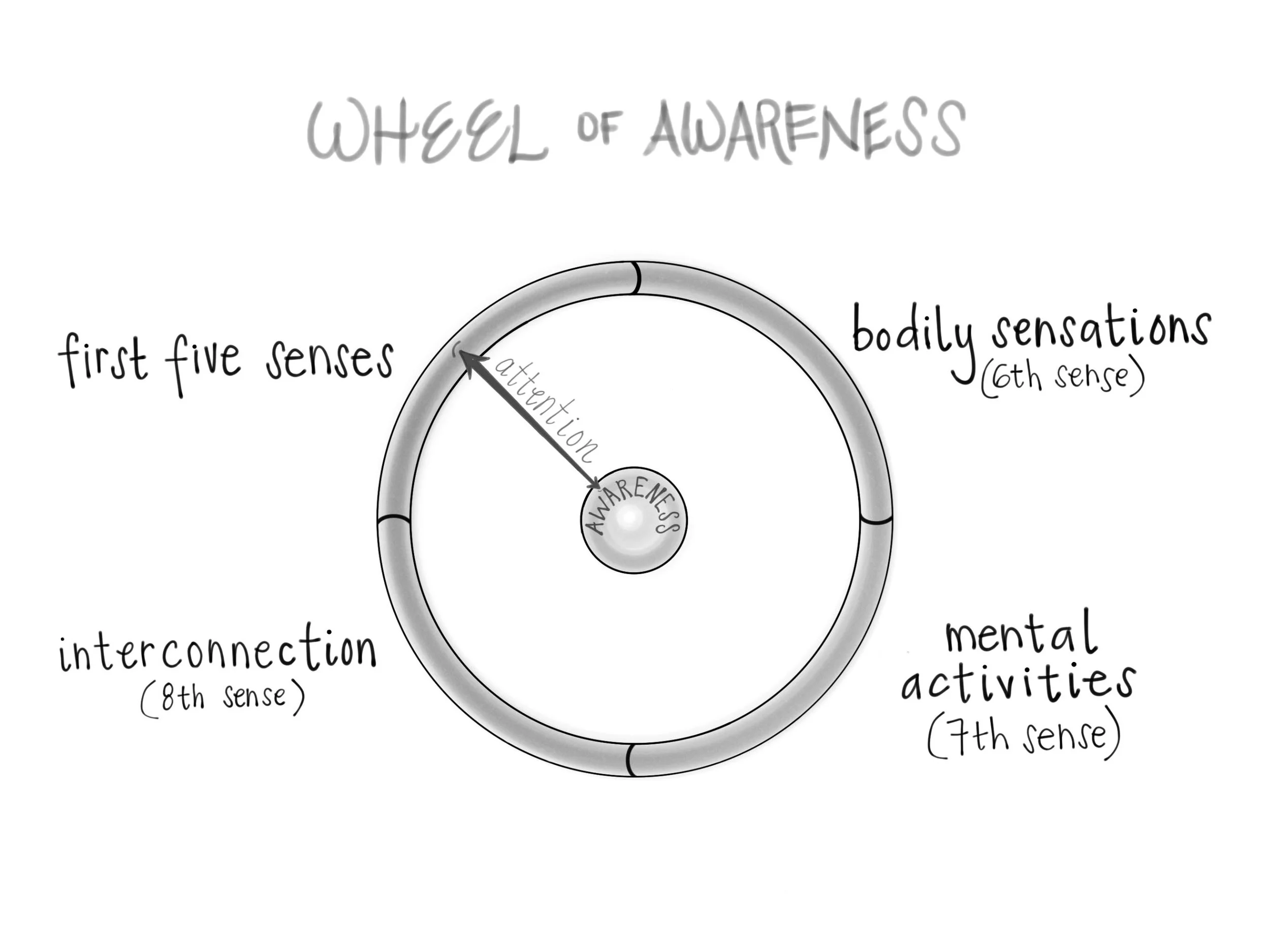 Wheel_of_Awareness.jpg