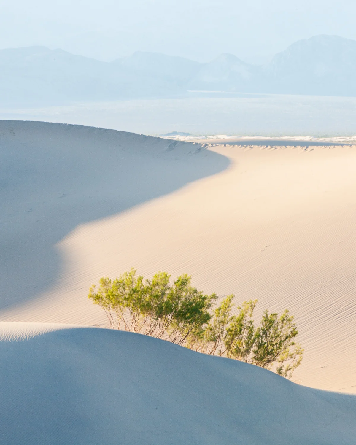 Road_Trip_09-13.jpg