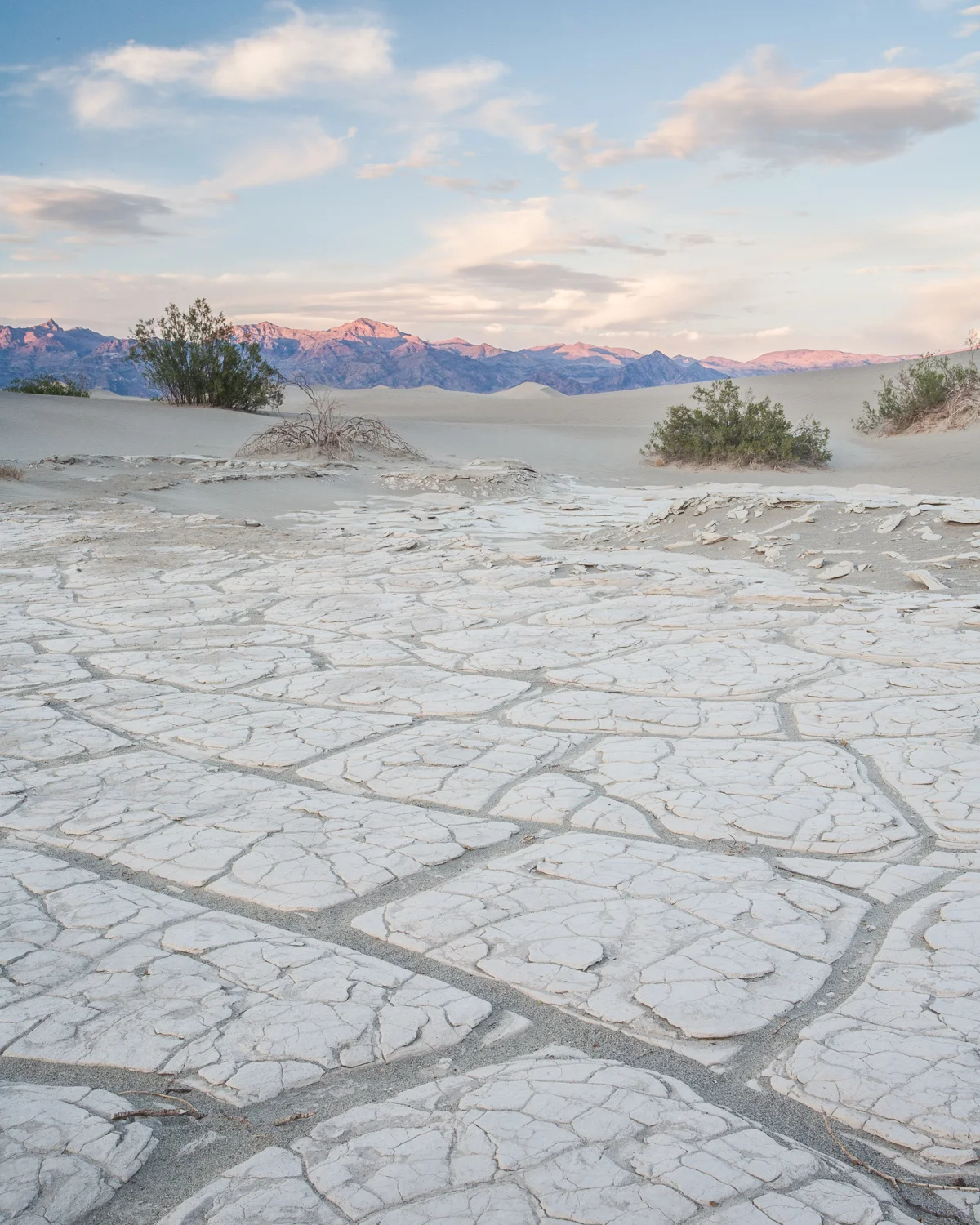 Road_Trip_09-14.jpg