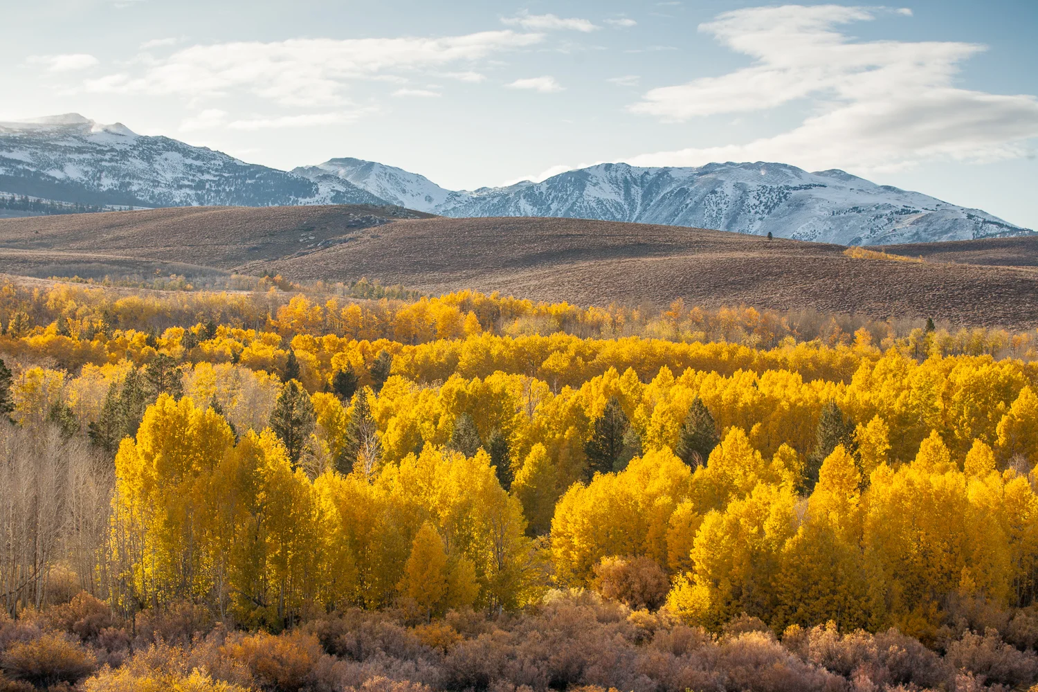 Road_Trip_09-6.jpg