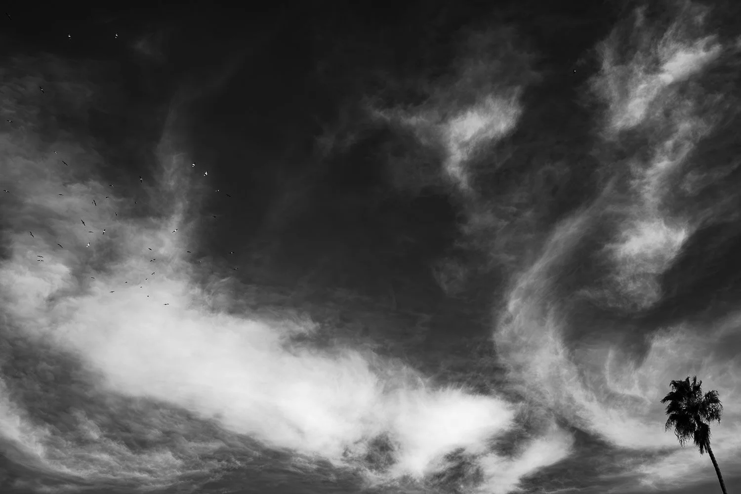 Atwater Sky 2024-5953-Enhanced-NR-FOR WEB.jpg