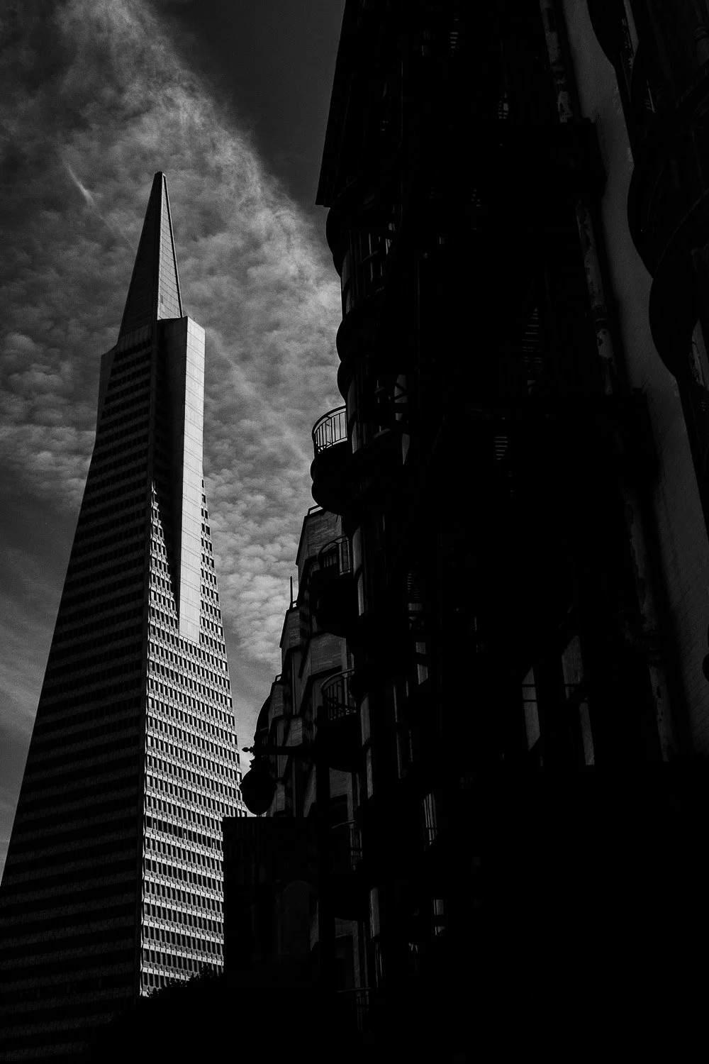 San Francisco 2020-8812-FOR WEB.jpg