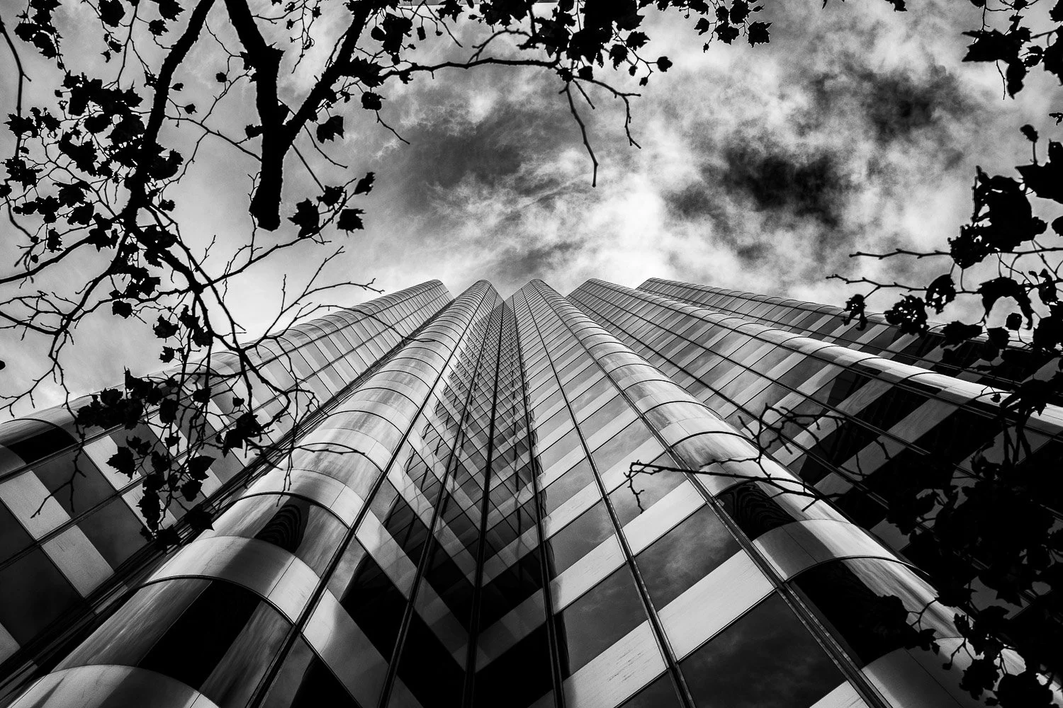 San Francisco 2022-4679-FOR WEB.jpg