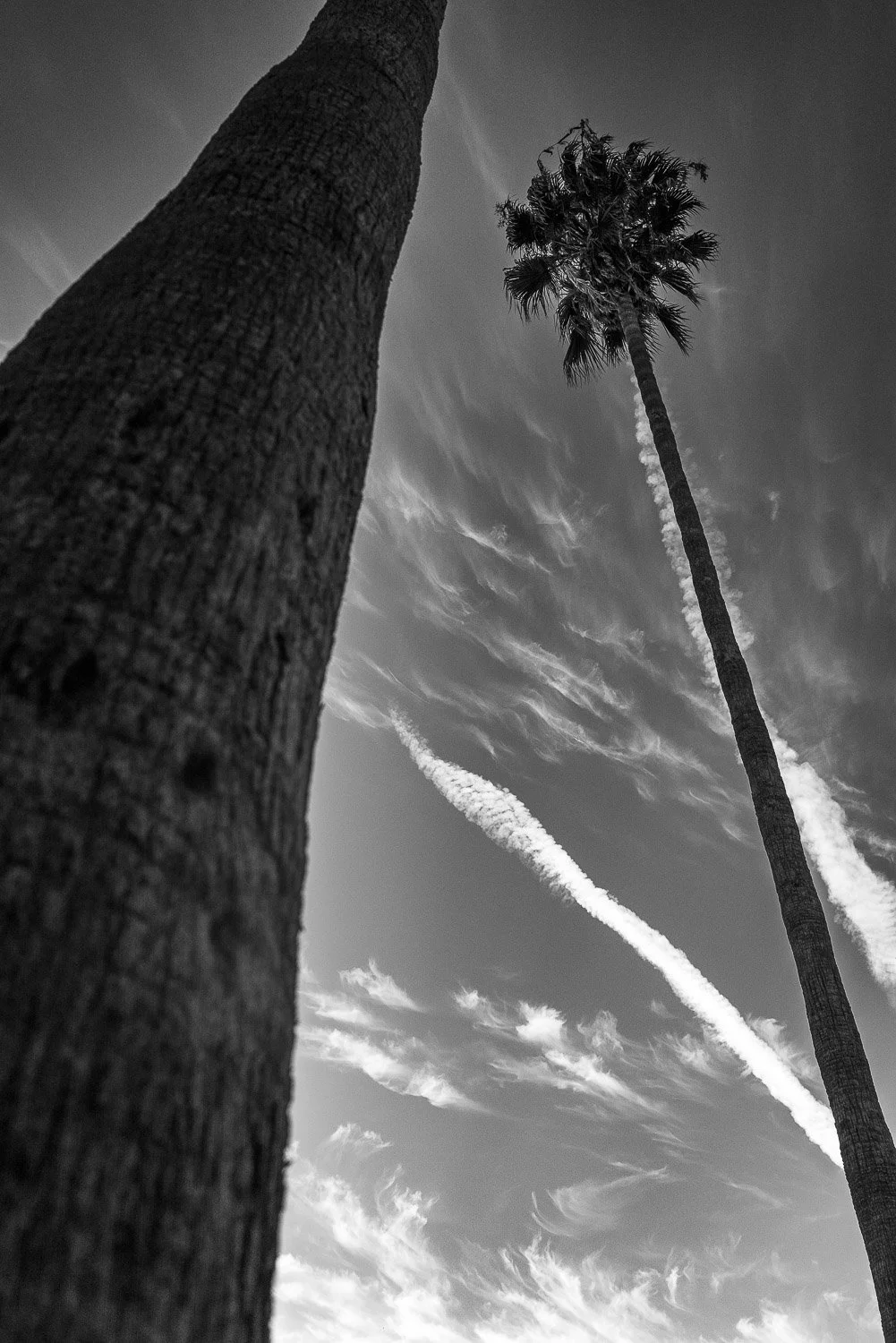 Street Photography 2026-1021046-FOR WEB.jpg