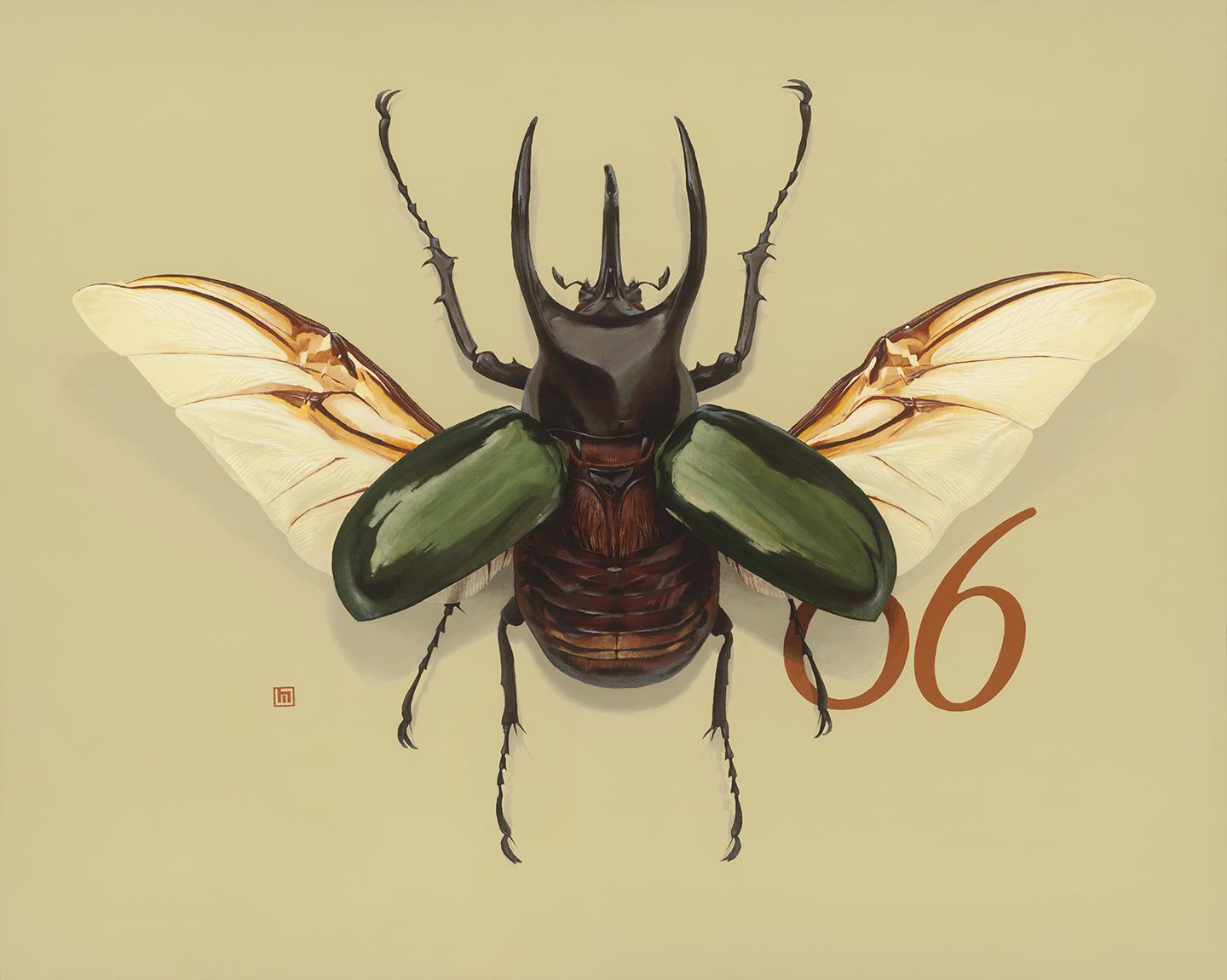 #6 Atlas Beetle
