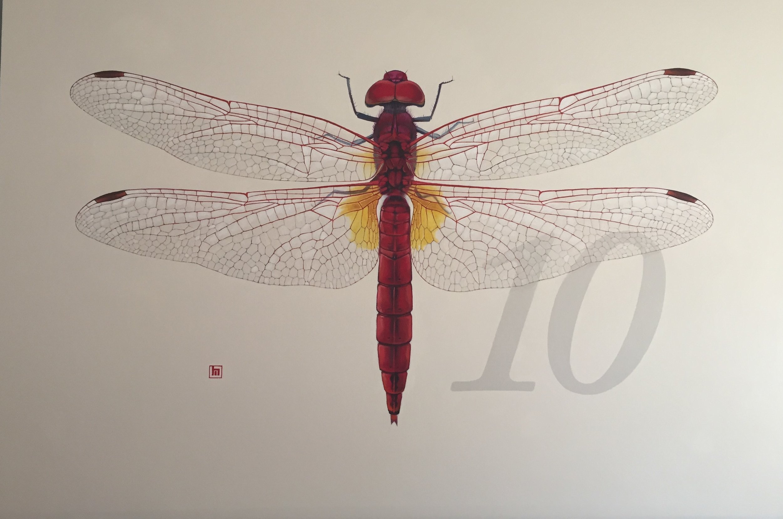 #10 Dragonfly