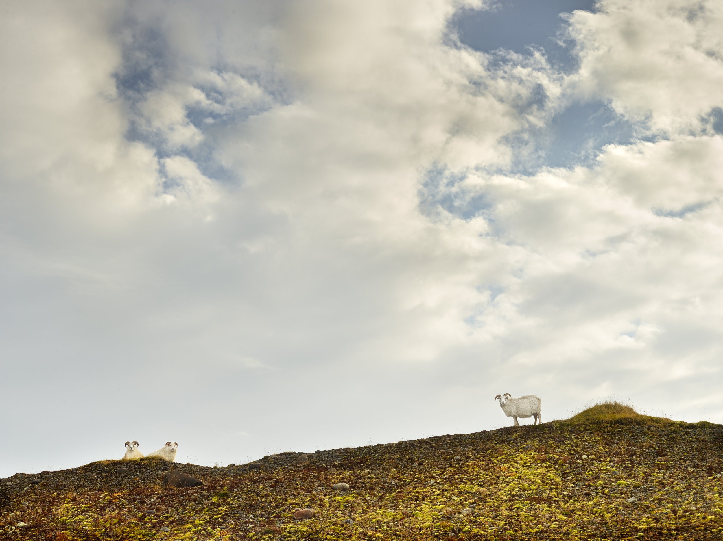 Iceberg Watchers, Jokulsarlon, Iceland