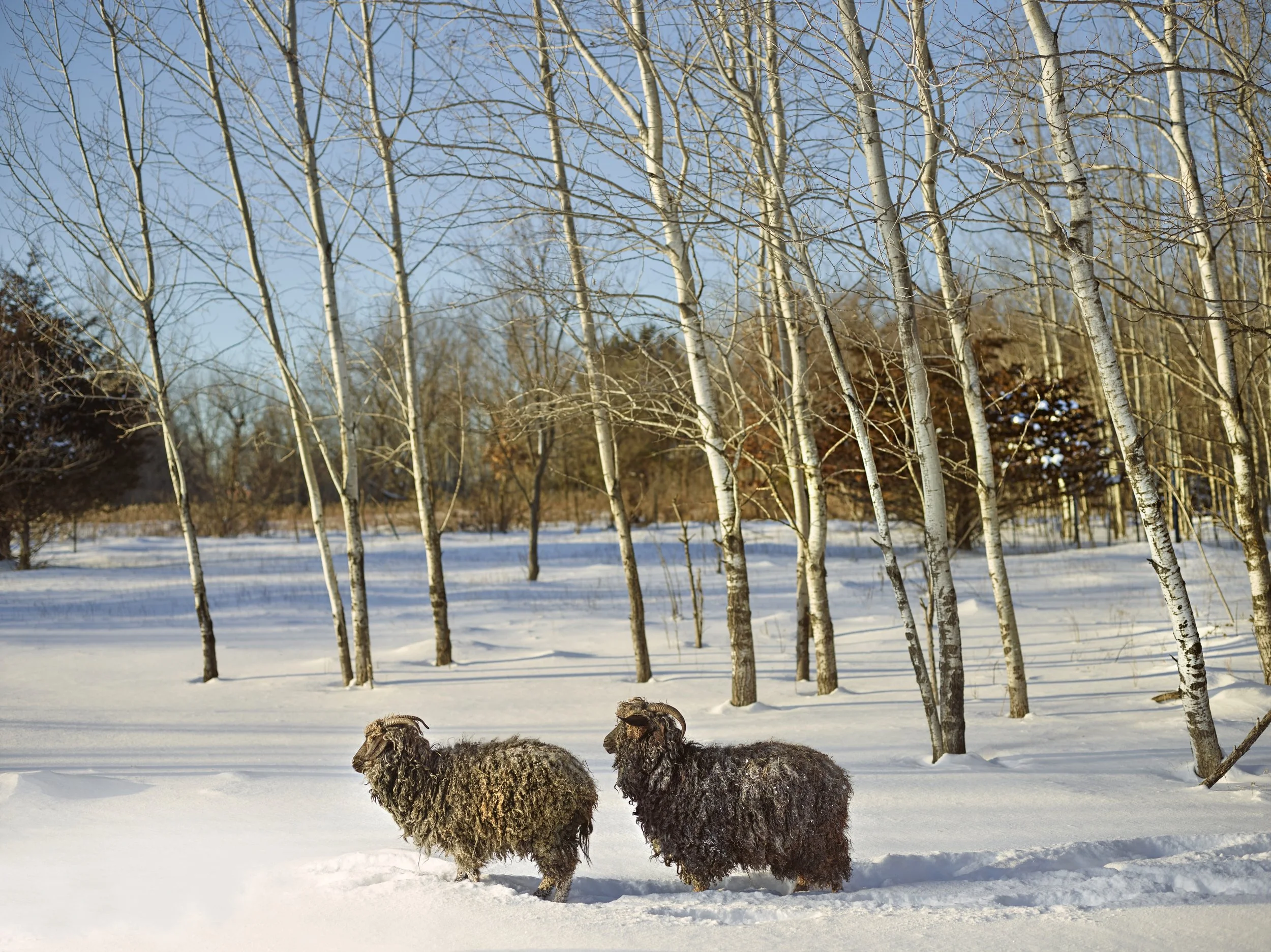 Annabelle and Friend, Anoka County, Minnesota, USA