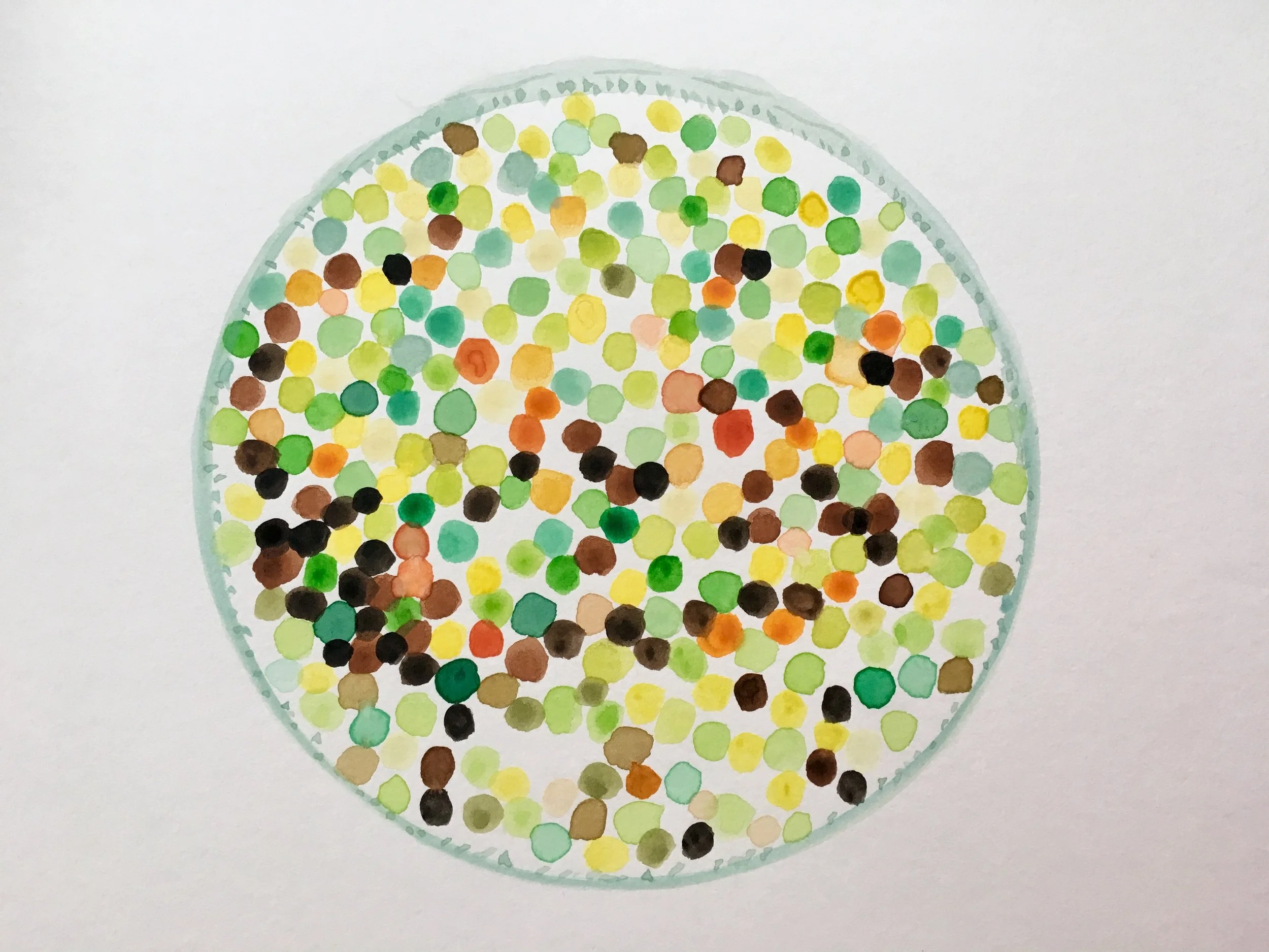 Peruvian High Mountain Algae Balls