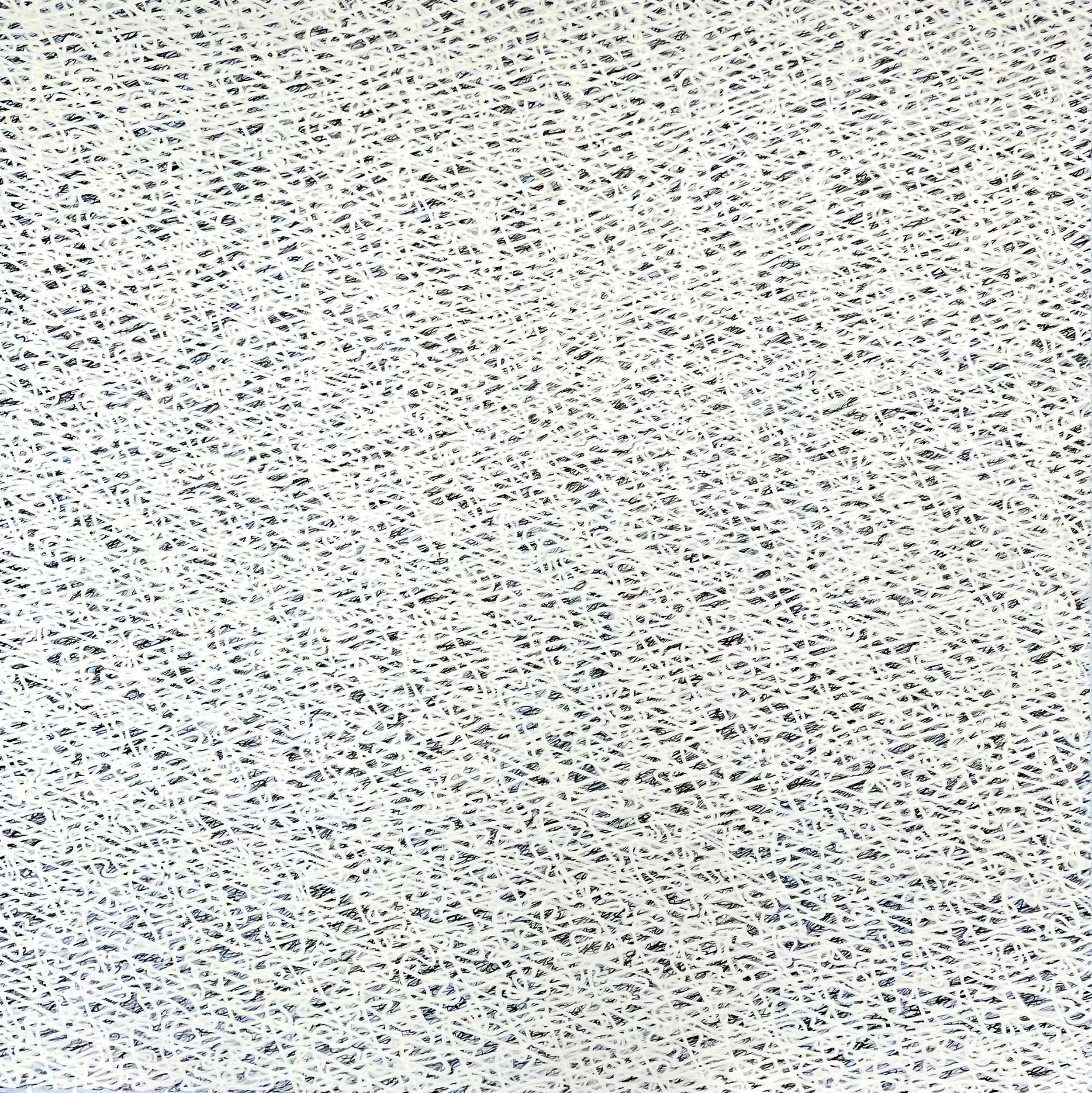 Fisher of Men, Blue Series